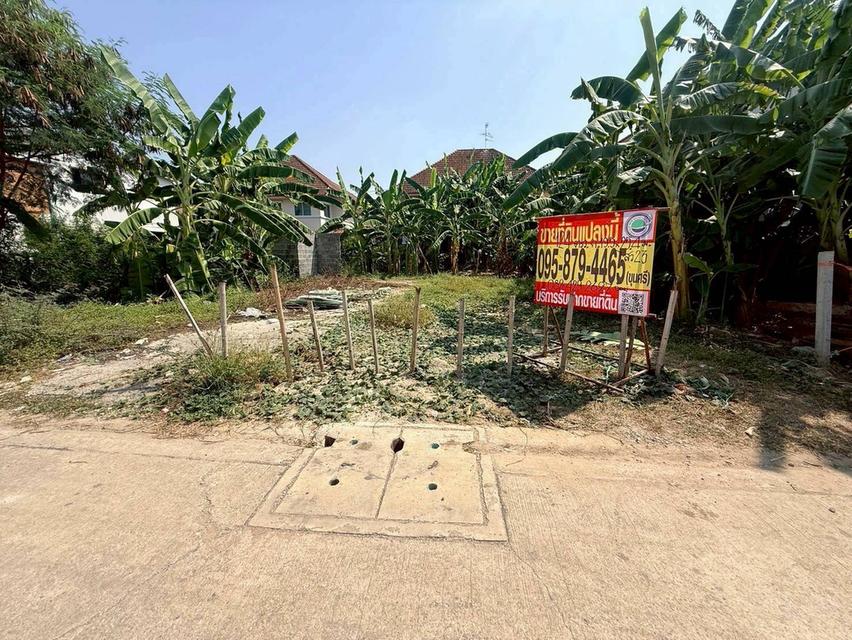 ขายถูกที่ดินลาดสวาย 124 ตรว ติดถนนคอรกรีตสาธารณะ ถมแล้ว ซ.ร่วมสุข 3 อ.ลำลูกกา จ.ปทุมธานี
