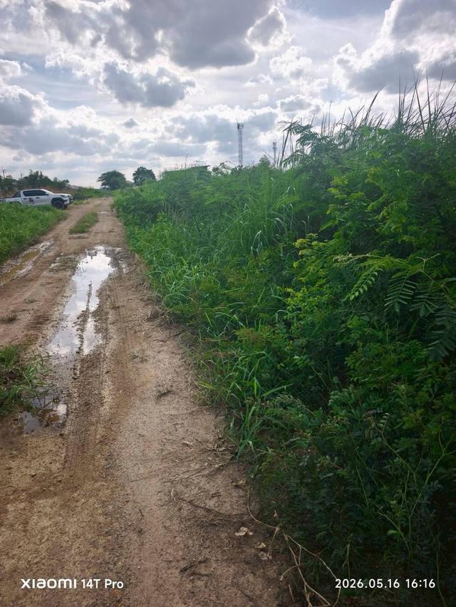 ขายด่วนที่ดินลำลูกกา 200 ตรว ติดถนนสาธารณะ ซ.ไสวประชาราษฎร์ 27 อ.ลำลูกกา จ.ปทุมธานี 6