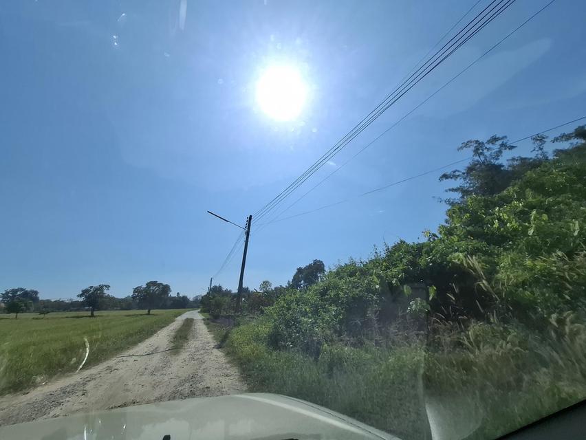 ที่ดินเปล่า 2 แปลงติดกัน หน้าติดถนนซอยบ้านดอนแต้วพัฒนา ต.พิกุลออก อ.บ้านนา จ.นครนายก 10