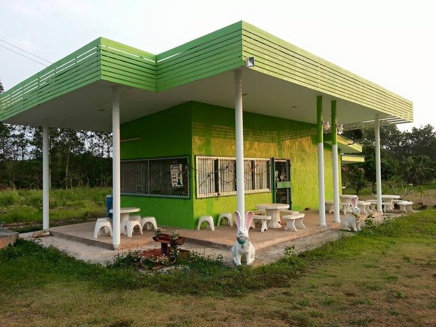 ขายที่ดินถมแล้วพร้อมบ้านและร้านอาหาร ริมถนนใหญ่ 4 เลน ใกล้ทะเลและสนามบิน 9