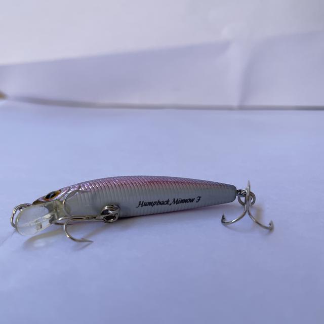 เหยื่อปลอมตกปลา Lucky craft humpback minnow 2