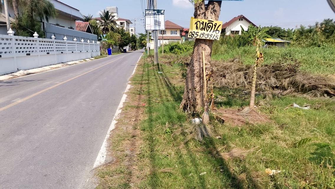 ที่ดิน ใกล้ ม.มหิดล ศาลายา 8