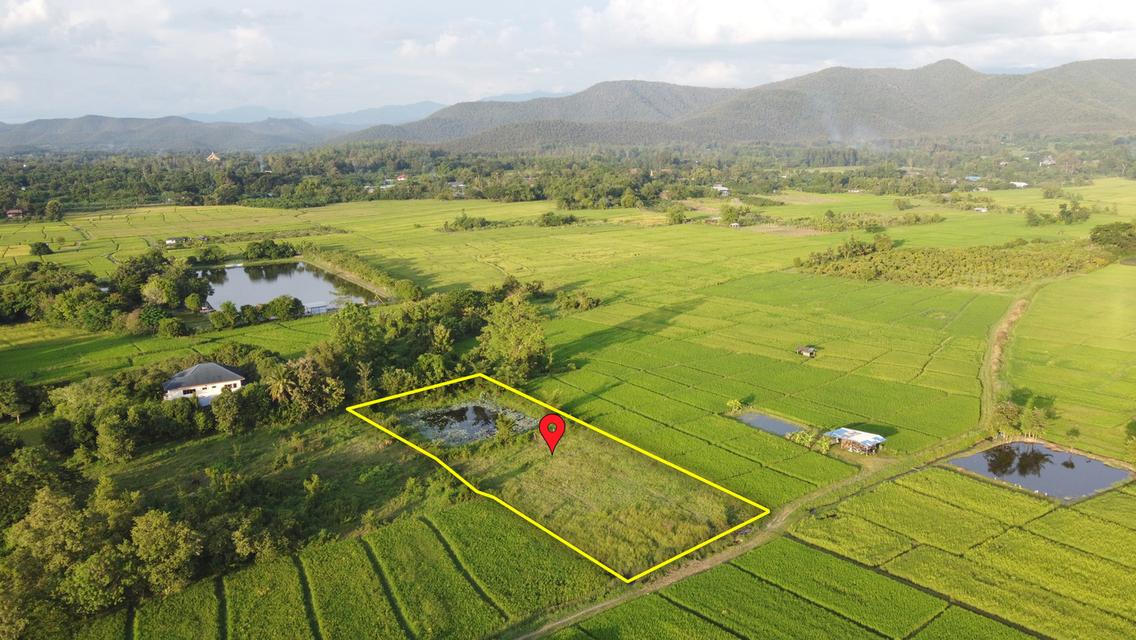 ที่นาพร้อมสระน้ำ 2-1-34 ไร่ วิวดอย ติดถนนสาธารณะ ขยายน้ำ-ไฟไม่ไกล 1