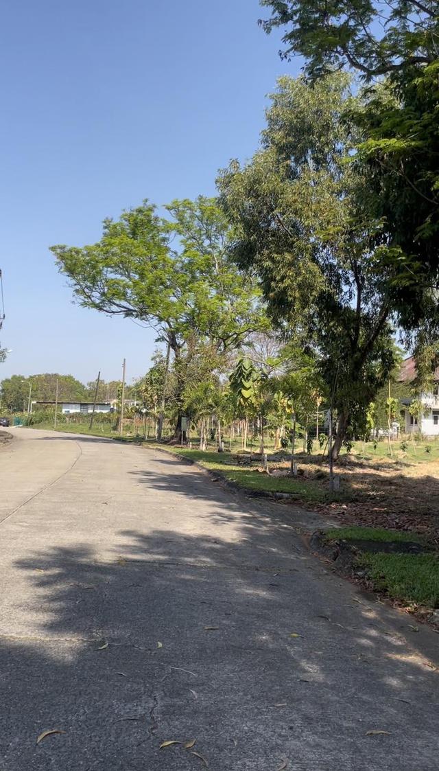 ขายที่ดินเปล่าเขตคลองสามวา โครงการ Forest Park 4