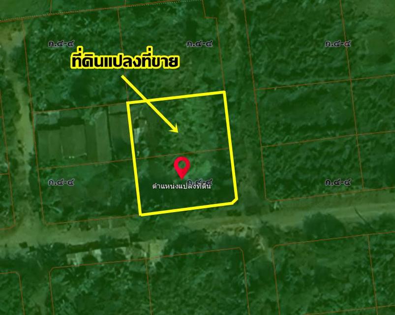 ขายที่ดินเปล่า หมู่บ้านสวัสดิการแลนด์ ซอยคู้คลองสิบ 14 6