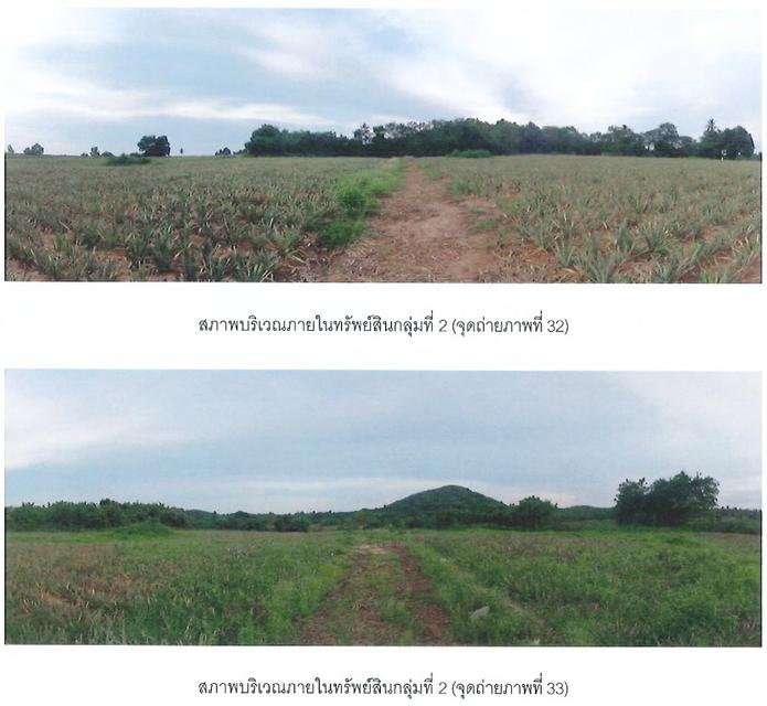 ขายที่ดินเปล่า แปลงใหญ่  ทำเลศักยภาพ อำเภอบางละมุง จังหวัดชลบุรี 9