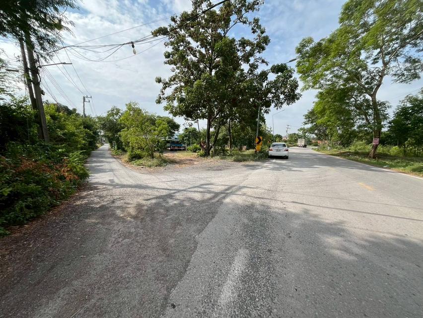 ขายที่ดินเปล่า ซอยท่ามะกอก หนองแค สระบุรี 5