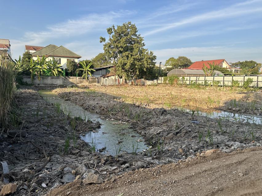 ขายที่ดิน 247 ตร.ว ใกล้ถนนสุขาประชาสรรค์ 3 ปากเกร็ด นนทบุรี 1