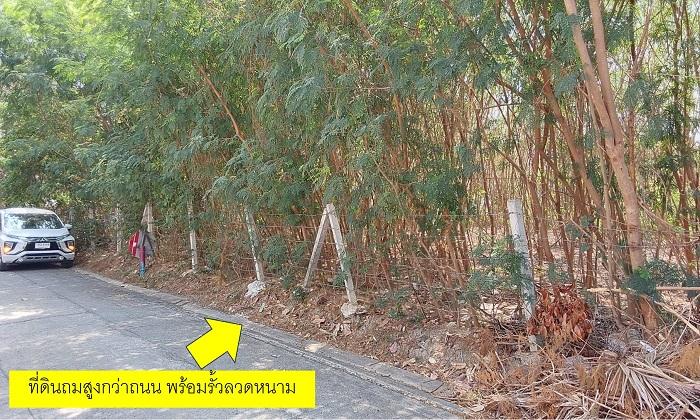 ขายที่ดินเปล่า ถมแล้ว ทำเลดีมาก ในซอยมัยลาภ 