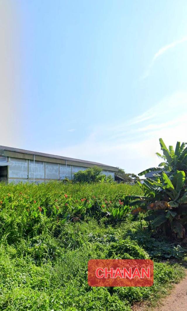 ขายที่ดิน ถ.พระราม2 ถ.บางกระดี่ ซ.10 เนื้อที่200ตรว 1