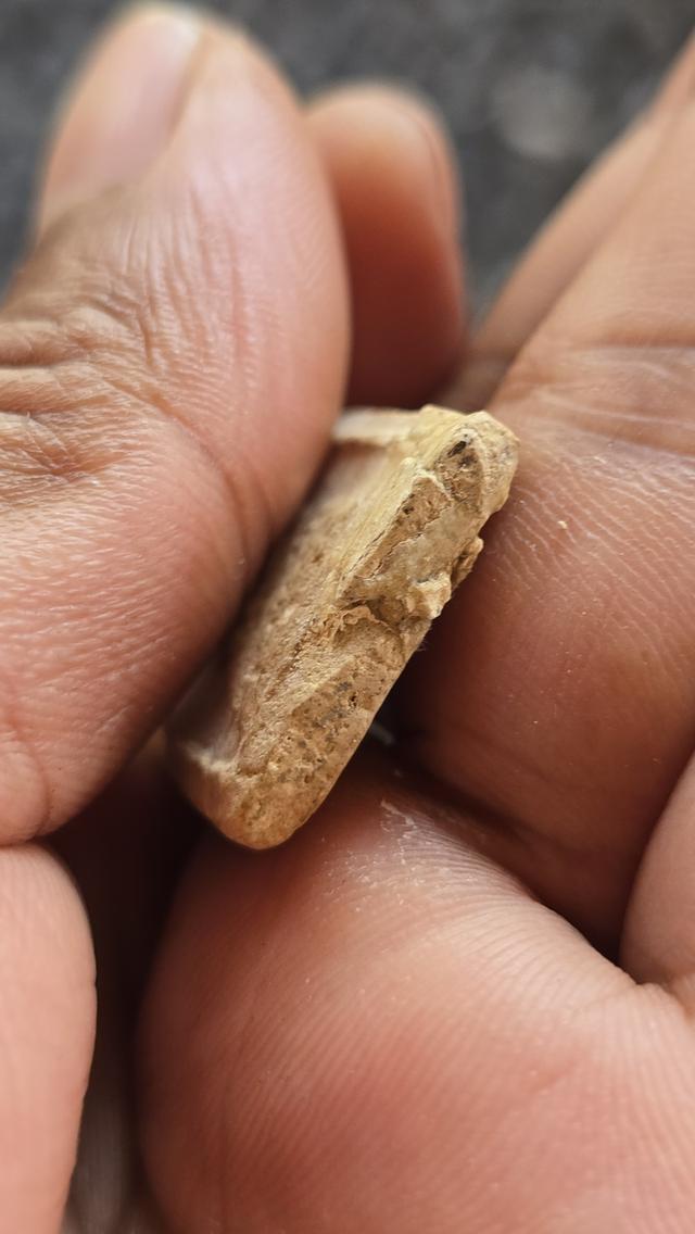 พระสมเด็จพิมพ์ 7 ชั้นหูติ่ง หลวงปู่ภูวัดอินทร์ รูปที่ 11