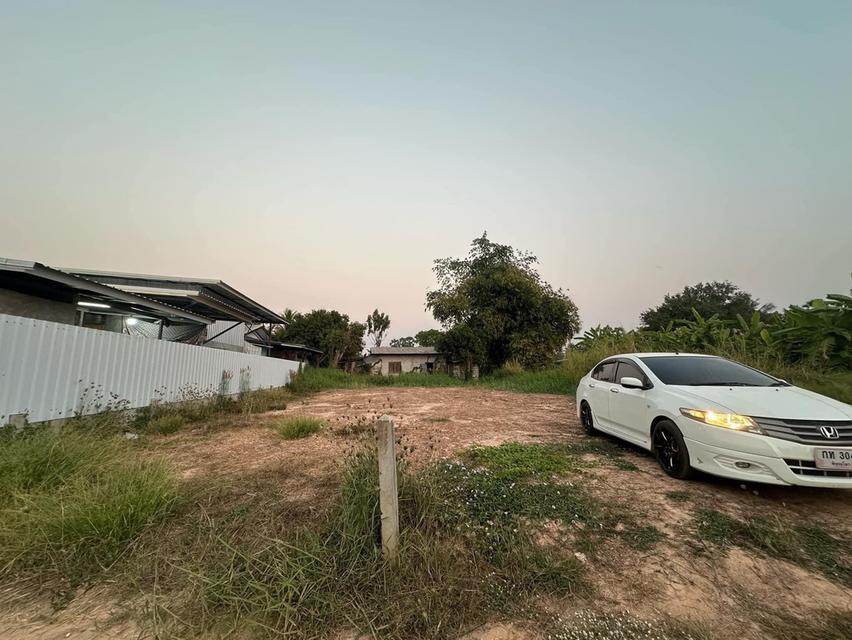 ที่ดินในเขตเทศบาลวัดโบสถ์ อำเภอวัดโบสถ์ จังหวัดพิษณุโลก 10