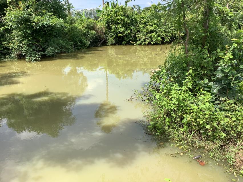 ที่ดินสามชุก บ้านสระ สุพรรณบุรี ใกล้วัดหนองสังข์ทอง ถนน4030 3