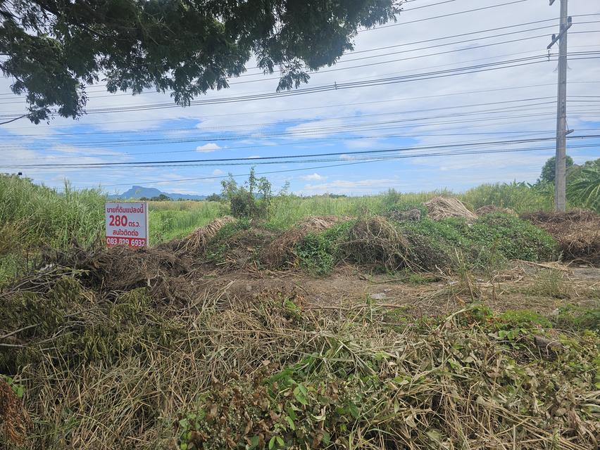 ขายที่ดิน ประจวบ กุยบุรี 3
