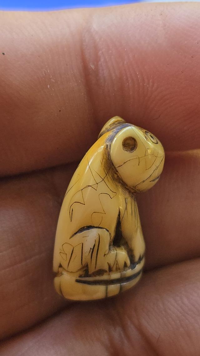 เสือแกะหลวงพ่อปาน วัดคลองด่าน 10