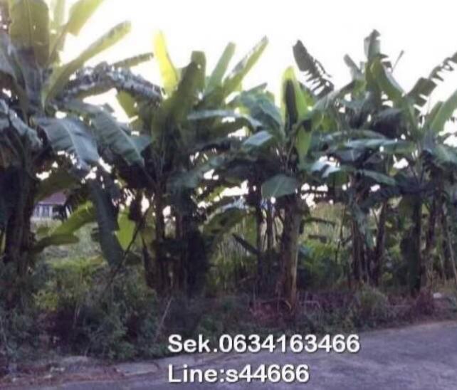 ที่ดินซอยนวมินทร์ 88 4