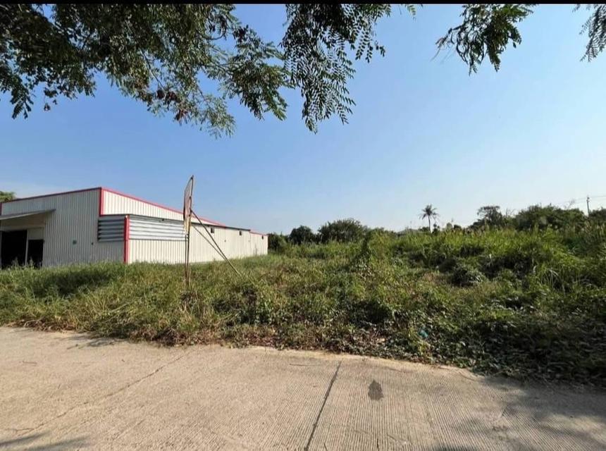 ที่ดิน 6