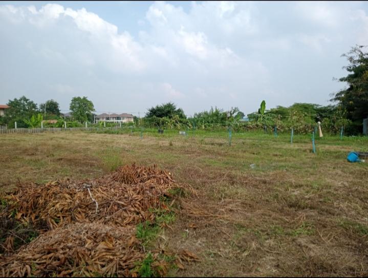 ขายที่สวยถมสูงใกล้รร.ดอนบอสโกหัวโป่ง บ้านโป่ง ราชบุรี 1