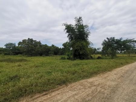 ขาย ที่ดิน ซอยแบนชะโด 3 คลองสามวา มีนบุรี 375 ตร.วา เหมาะทำโกดัง ฟาร์มผัก บ้านพักอาศัย 5