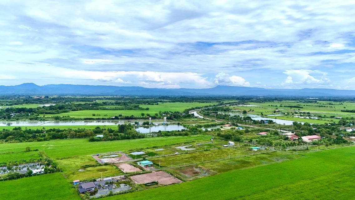 ขายที่ดินจัดสรร เงินสดและผ่อน 4