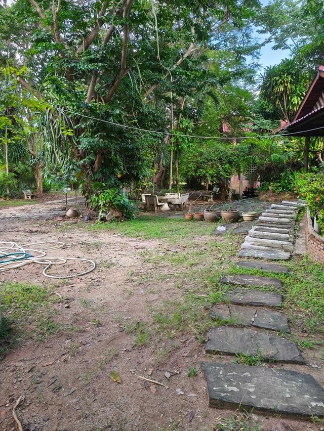 ขายที่ดินปากช่อง ขนงพระใต้ 10