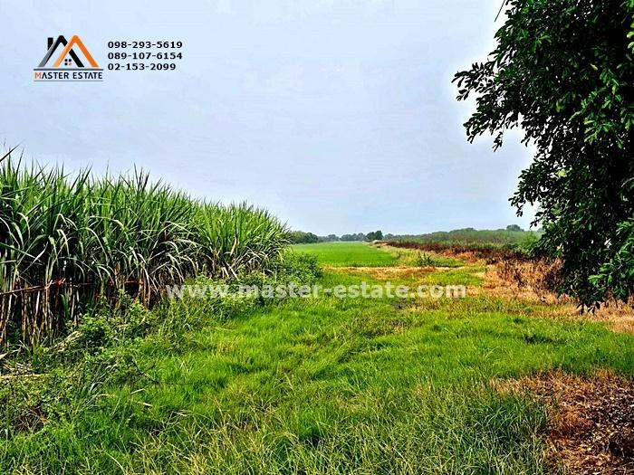 ที่ดินเปล่า คลอง 4 ฝั่งตะวันออก เลียบคลองระพีพัฒน์ 38-3-95.9 ไร่ ติดถนนสาธารณะ สวยมาก เหมาะทำโครงการจัดสรร | อาคารชุด ราคาสุดคุ้ม 8