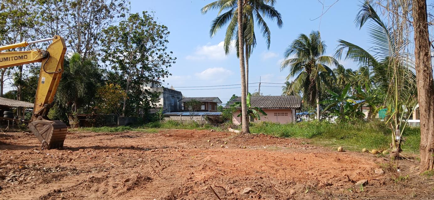 ขายที่ดินเปล่าโฉนด 1 งาน 14 ตร.ว. อยู่ในชุมชน ต.นาชะอัง อ.เมืองชุมพร ห่างศาลากลางจังหวัดเพียง 3 กม. ที่เนินปลอดภัยจากน้ำท่วม เจ้าของเองครับ 9