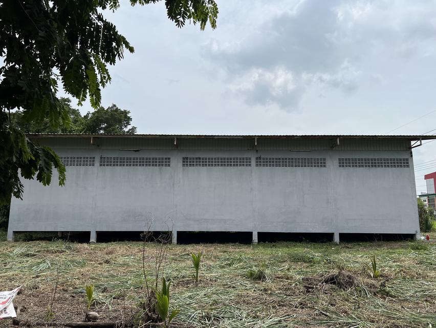 ขายที่ดิน พร้อมโกดัง 3