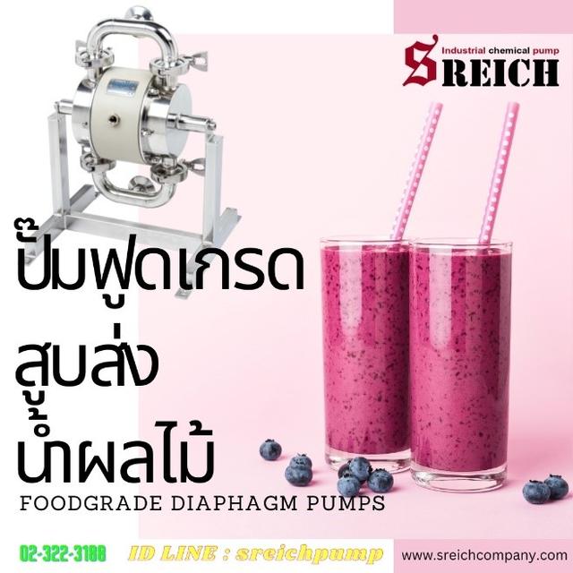 Pump Food grade pump ปั๊มสแตนเลสฟู้ดเกรด ปั๊มสวีเดน Sanitary pump 2