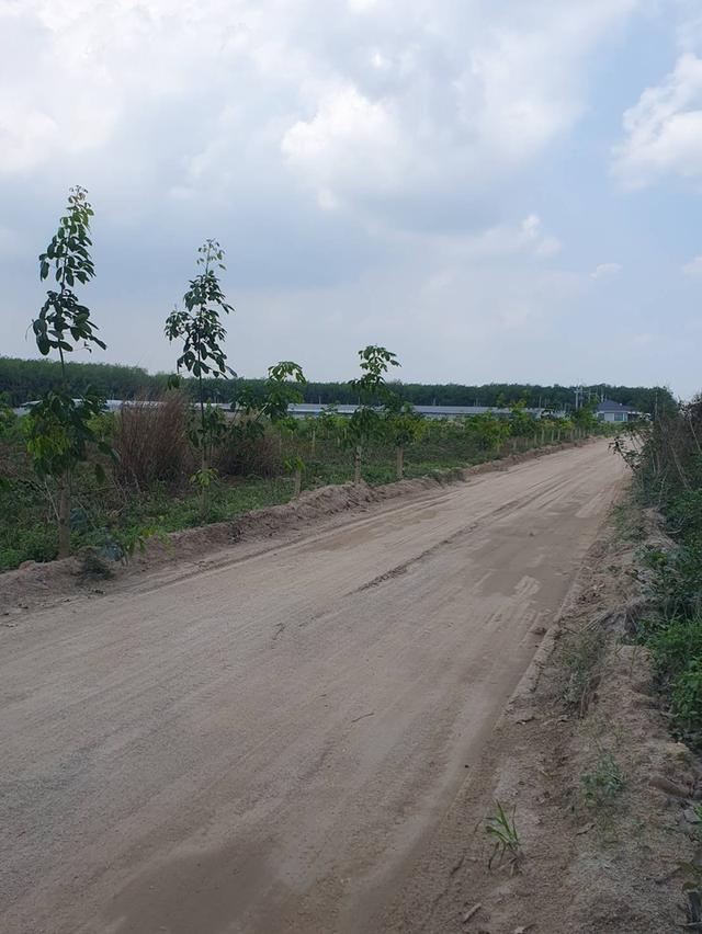 🔥 ขายที่ดินสวนยาง แปลงสี่เหลี่ยมสวย ทำเลทอง EEC ใกล้นิคมฯ เจ้าของขายเอง 🔥 1