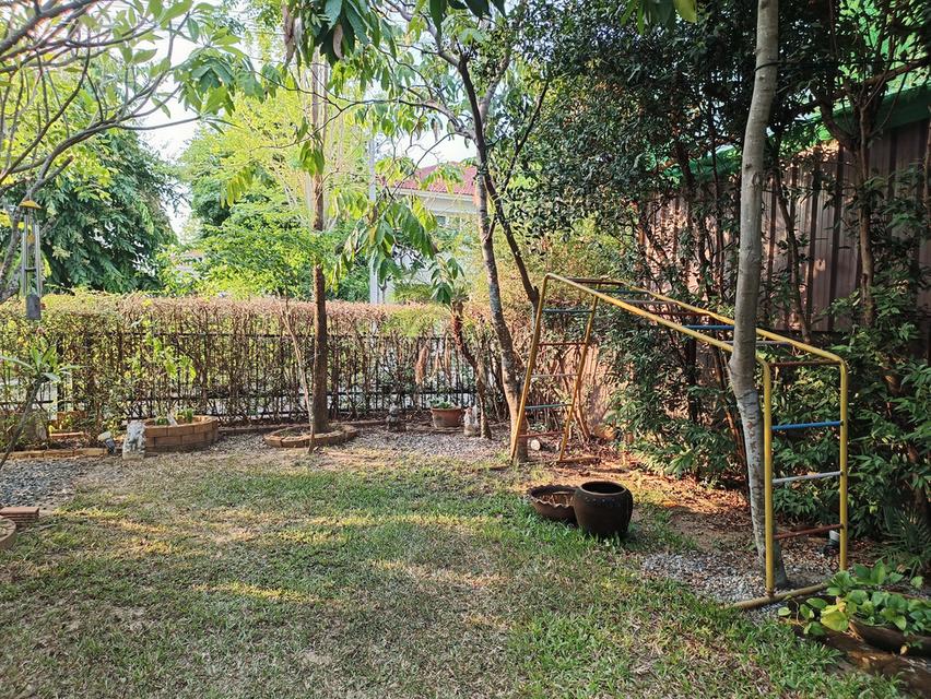 ขายบ้านเดี่ยว 2ชั้น 81ตรว  วรารมย์เจริญเมือง โครงการQ House 4ห้องนอน 4ห้องน้ำ สวนส่วนตัว จอดรถได้2คัน 7