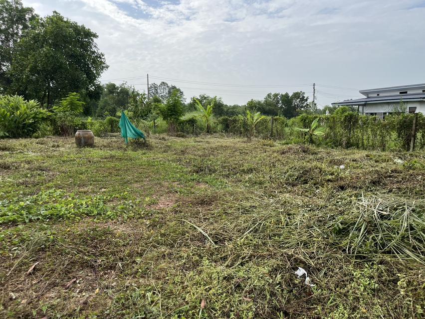 ขายที่ดิน 100 ตร.ว. ถมเต็มพื้นที่ โฉนดครุฑแดง ถนนสาธารณประโยชน์ ต.พรหมณี อ.เมืองนครนายก 12