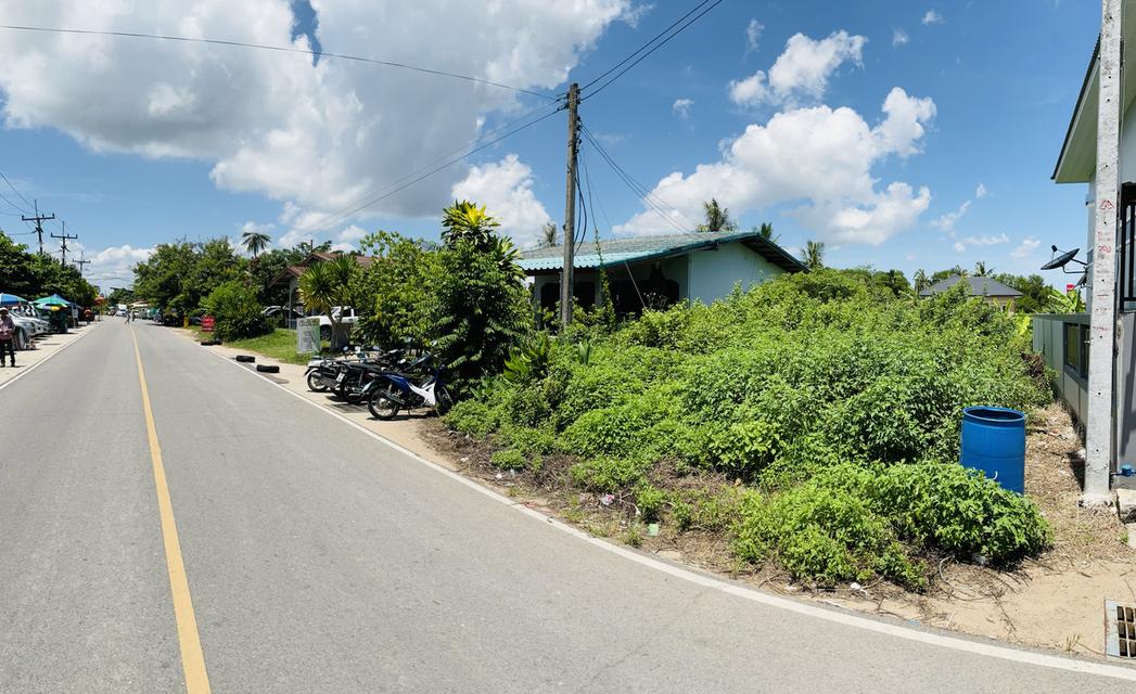 ที่ดิน 49 ตารางวา สิงหนคร ใกล้ท่าแพขนานยนต์ 3