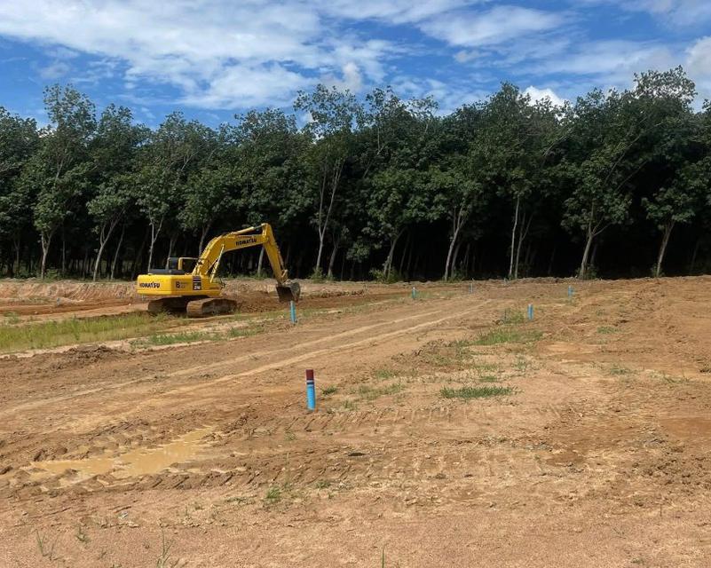 ขายที่ดินจัดสรรหนองละลอกเริ่มต้น 50 ตรว. ถมแล้วน้ำ-ไฟพร้อมใกล้นิคมปิ่นทอง6-1.8กม. อ.บ้านค่าย ระยอง 5
