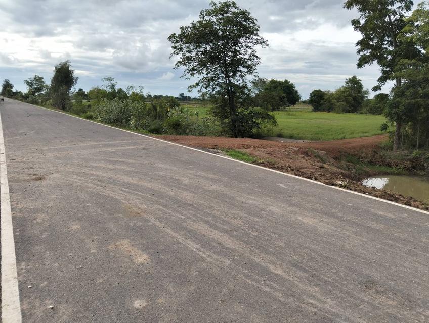 ขายที่ดิน 3 แปลง จังหวัดชัยนาท 11