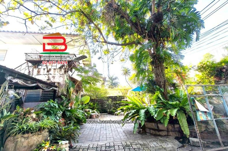 ที่ดินพร้อมบ้าน เนื้อที่ 151 ตร.ว. ซอยสุขุมวิท 64 (ซอยรร.พงษ์เวชอนุสรณ์ 2) แขวงบางจาก เขตพระโขนง 4