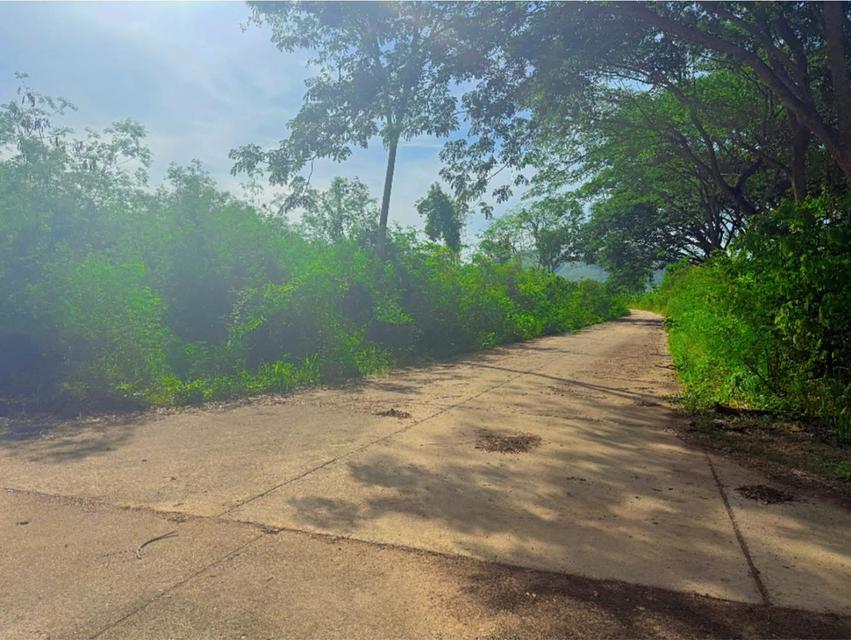 ที่ดินขายต่ำกว่าราคาประเมิน แก่งกระจาน 2
