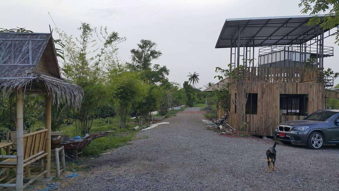 ที่ดิน 5