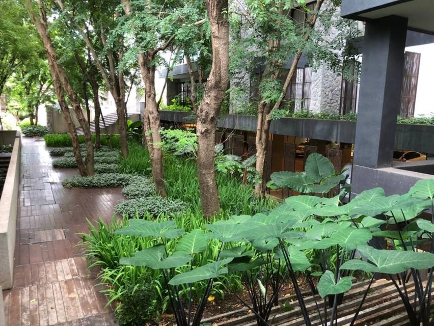 ขายคอนโดติดถนนธนะรัตน์ใกล้เขาใหญ่ 10