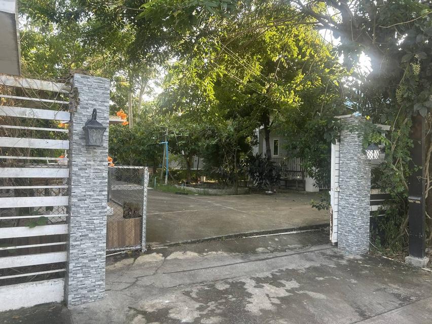 ที่ดิน 600 ตรว. พร้อมบ้าน 2 หลัง 1