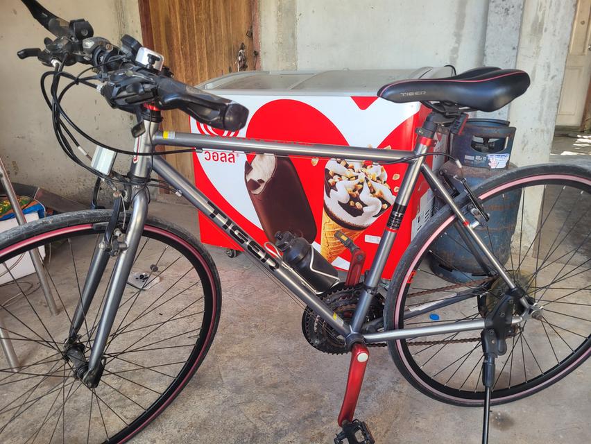 tiger – 700C