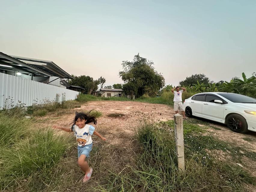 ที่ดินในเขตเทศบาลวัดโบสถ์ อำเภอวัดโบสถ์ จังหวัดพิษณุโลก 8