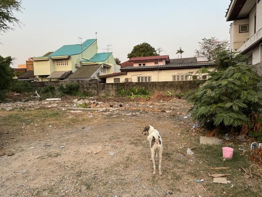 ขายที่ดินถมแล้ว ซอยรัชดา 32 พร้อมบ้านชั้นเดียว 1 หลัง (N.1028) 1