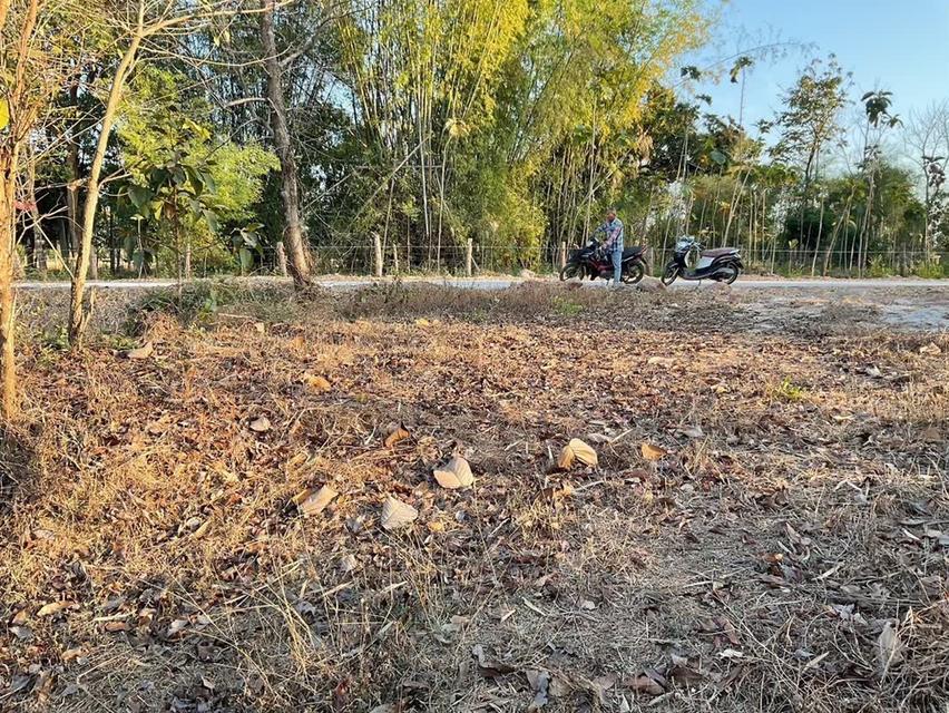 ที่ดินทำเลดี จ.อุดรธานี (4 ไร่) 3