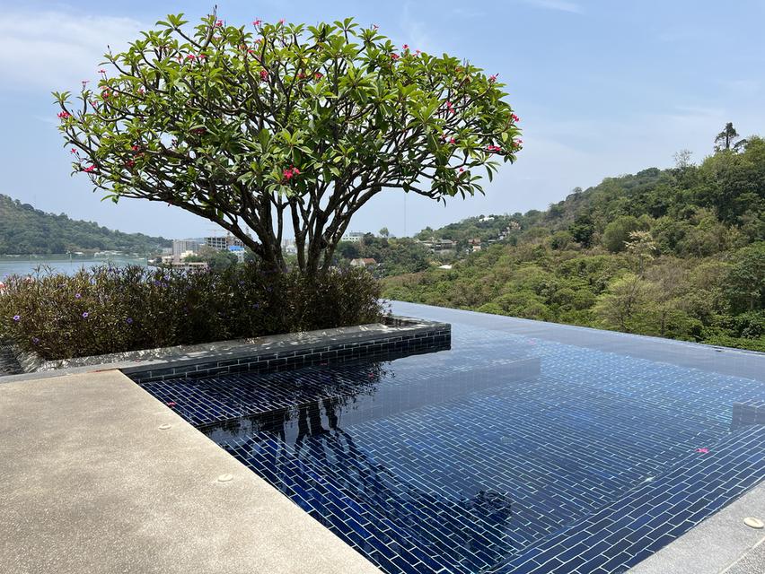 The best height condo in Phuket town  15