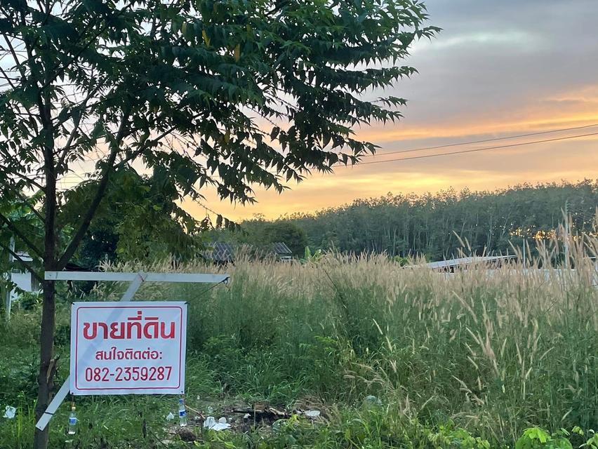 ขายที่ดินระยองบ้านค่าย