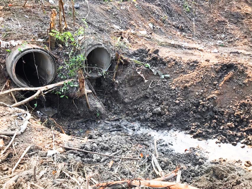 ขายที่ดินเปล่า : 2 งาน 45 ตร.วา (บ.จำค่า-บ.วังยวม) ต.เสด็จ อ.เมืองลำปาง 5