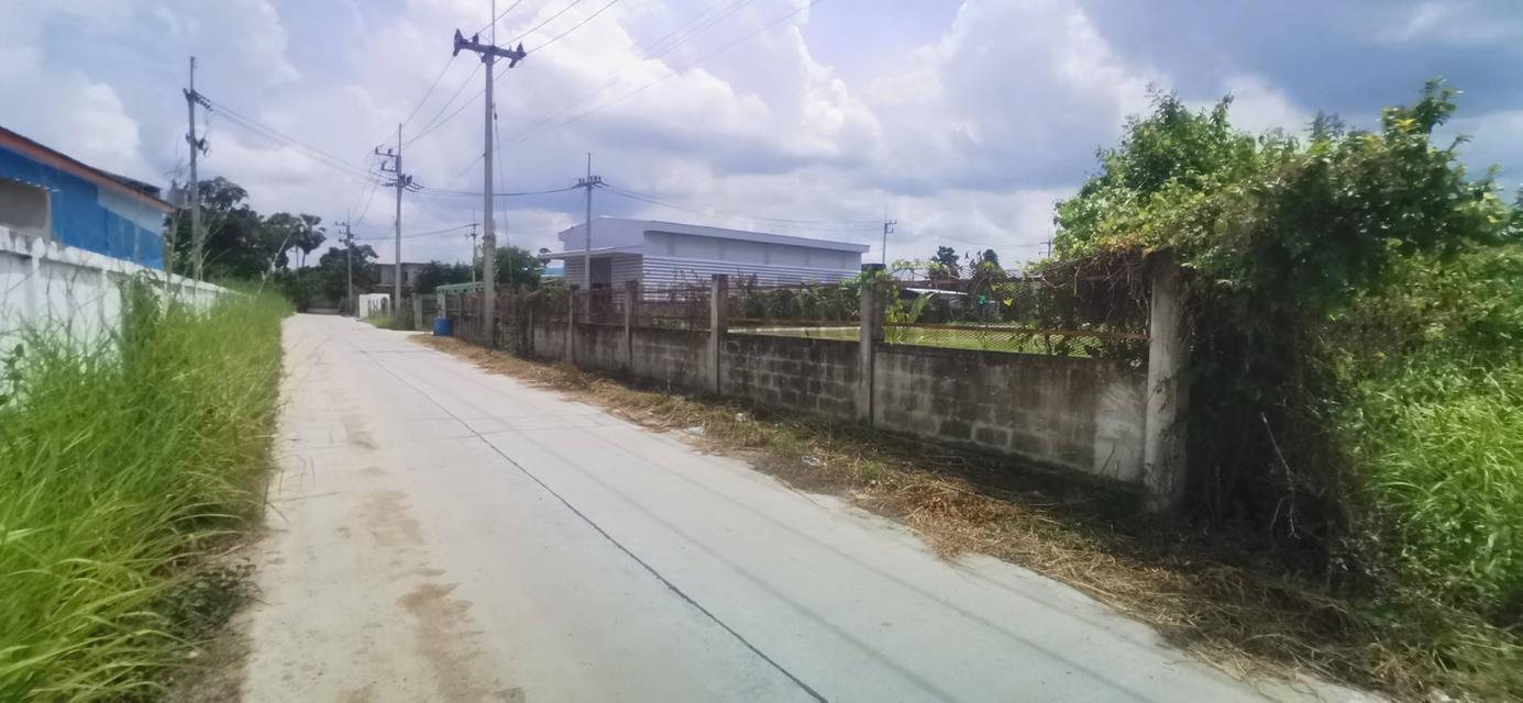 ขาย! ที่ดินพร้อมโรงงาน 6-3-0 ไร่ บ้านบึง จ.ชลบุรี ติดถนน ใกล้นิคมอมตะนคร ทำเลดี พร้อมใช้งาน 7