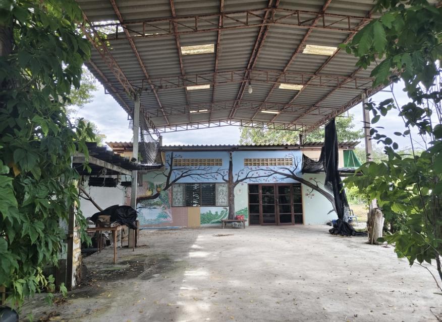 ที่ดินพร้อมอาคาร ห้องแถว โกดังเก็บของ 1