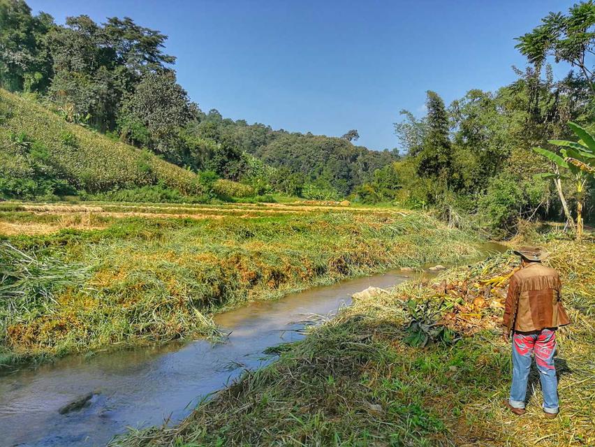 ที่ดินติดลำธารใกล้น้ำตก